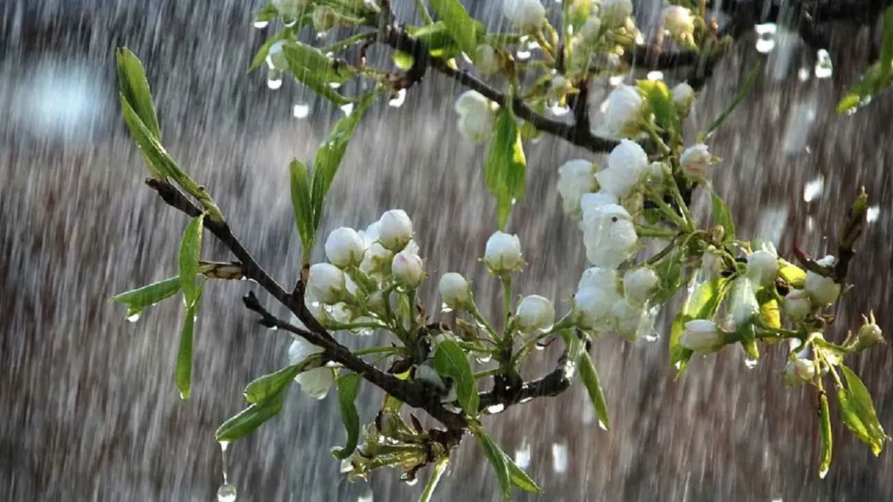 ঢাকায় আজ হালকা বৃষ্টির সম্ভাবনা, গরম থাকবে আগের মতোই