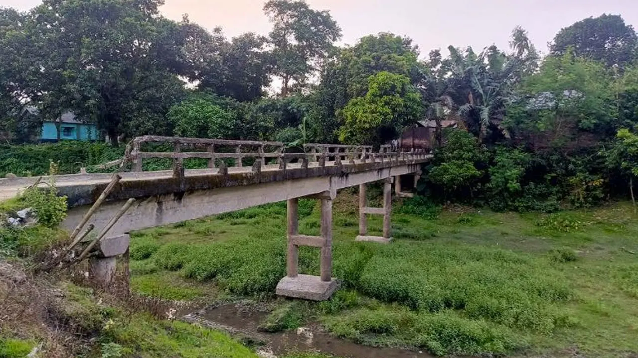 ‘ব্রিজোত উঠলে নড়ে, কখন যে ভাঙ্গি পড়ি যায় আল্লায় জানে’