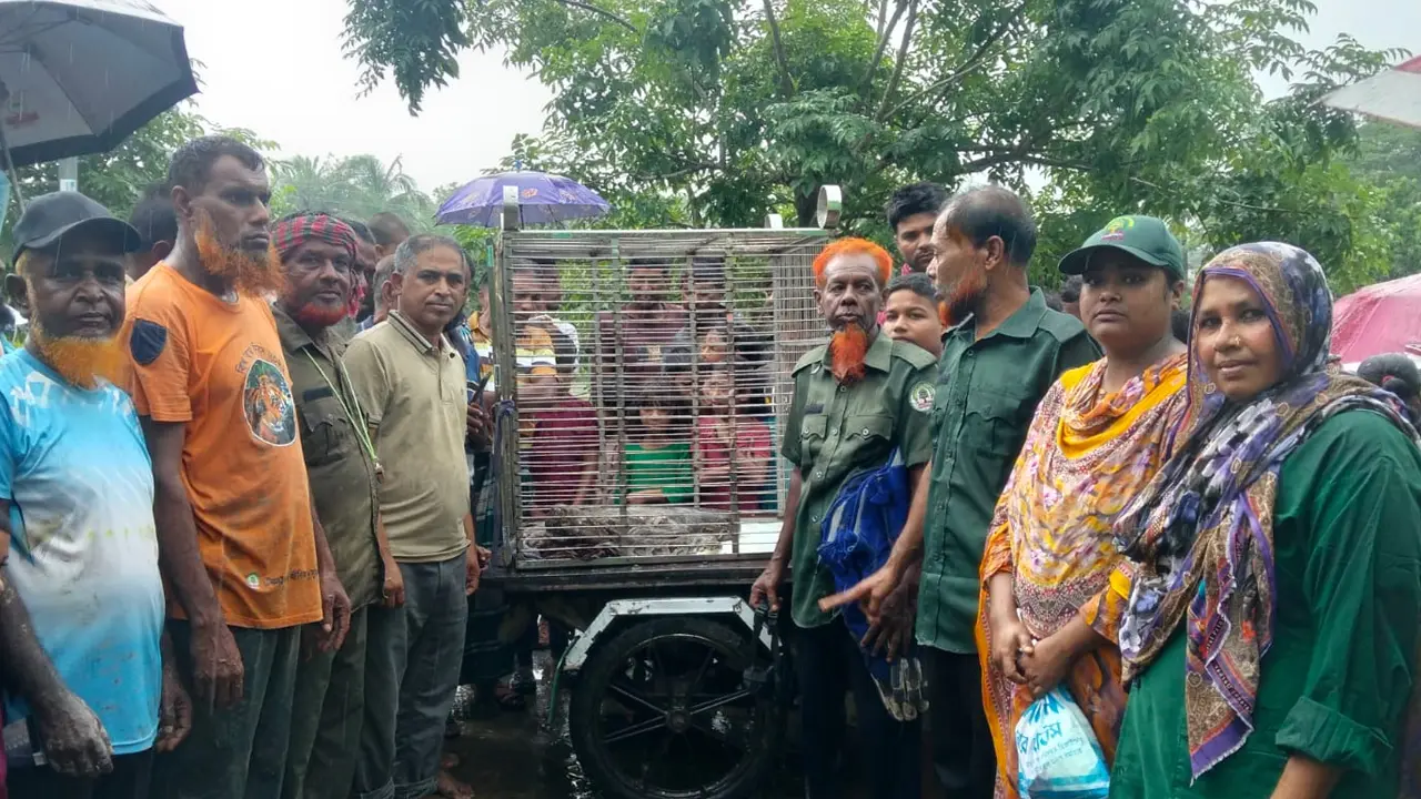 মুরগির ঘরে ১০ ফুটের অজগর, খেয়ে ফেলেছে হাঁস-মুরগি