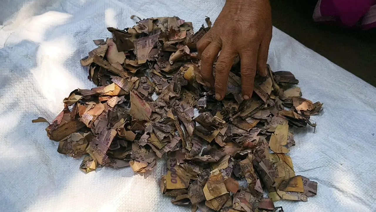 জর্দার কৌটায় ১০ বছরের সঞ্চয়, খুলে দেখলেন ২ লাখ টাকা পচে টুকরো টুকরো