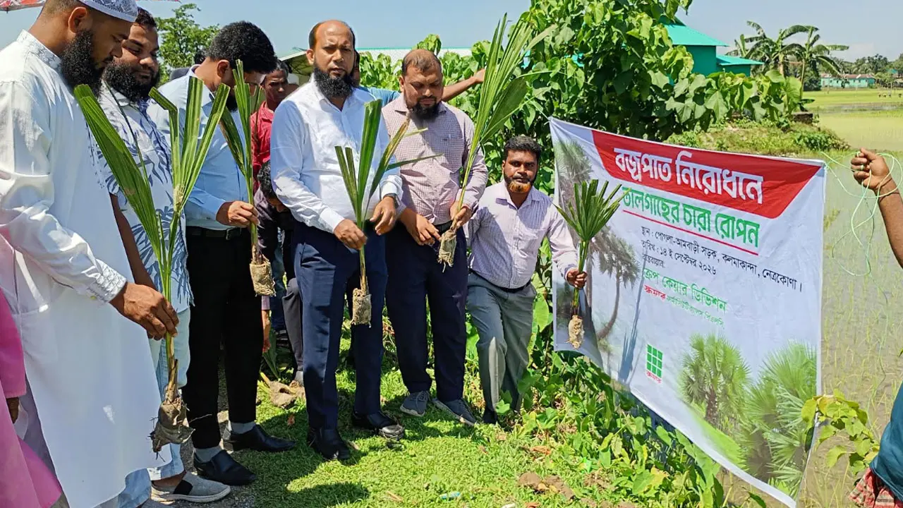 বজ্রপাত থেকে সুরক্ষায় ২০০ তালের চারা রোপণ করল স্কয়ার ক্রপকেয়ার