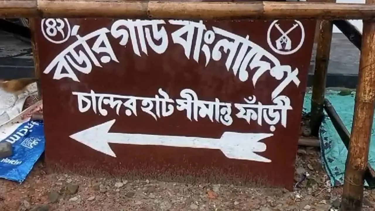 ঠাকুরগাঁও সীমান্তে বিএসএফের গুলিতে দুই বাংলাদেশি নিহত