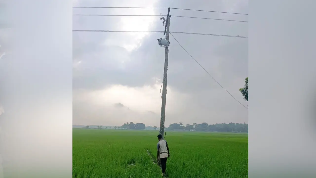 ট্রান্সফরমার খুলতে গিয়ে বিদ্যুৎস্পৃষ্ট, ধানখেতে মিলল যুবকের মরদেহ