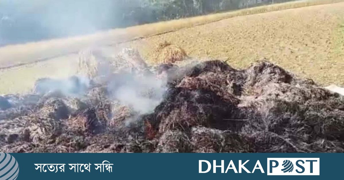 কৃষকের ৬০ মণ ধানে দুর্বৃত্তের আগুন