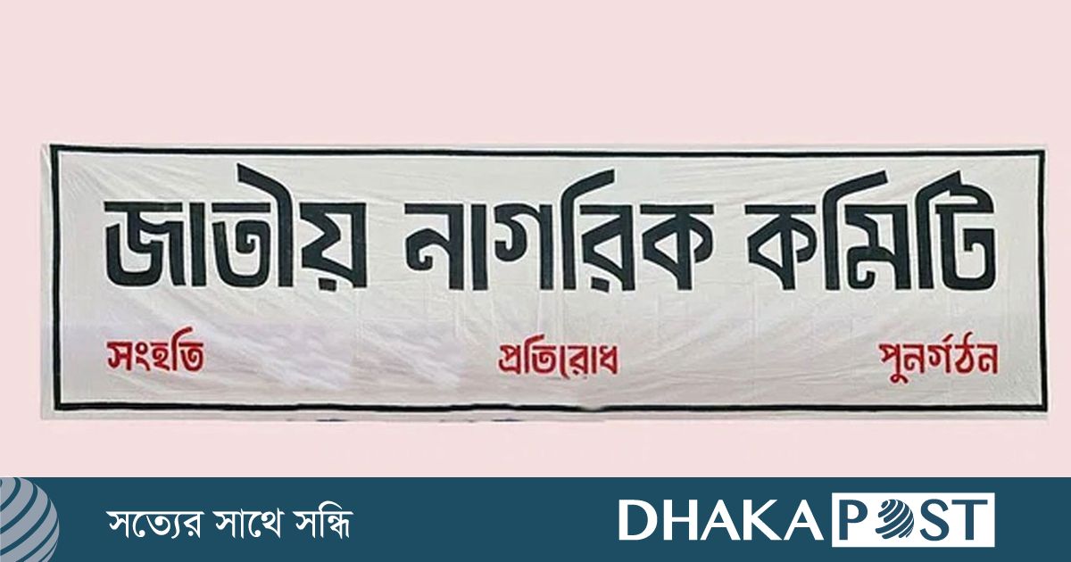 ‘জনশক্তি’ নিয়ে কোনো আলোচনা হয়নি : জাতীয় নাগরিক কমিটি