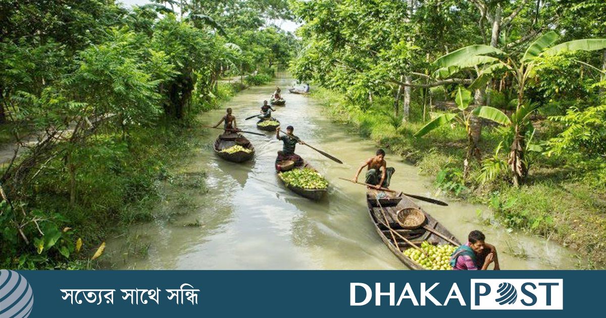 শান্ত স্রোতে ভাসে ডিঙি নৌকা, দুই পাশে পেয়ারা বাগান—যেন এক ভিন্ন জগৎ