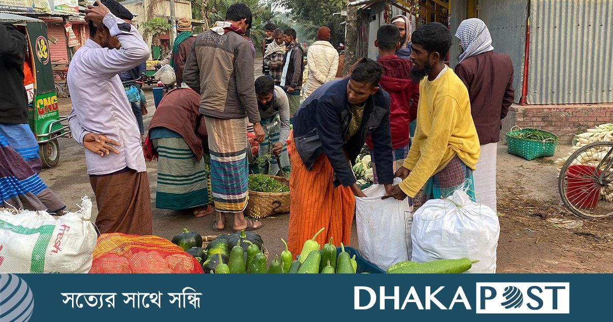 সূর্য ওঠার আগেই বিক্রি হয় লক্ষাধিক টাকার নিরাপদ সবজি