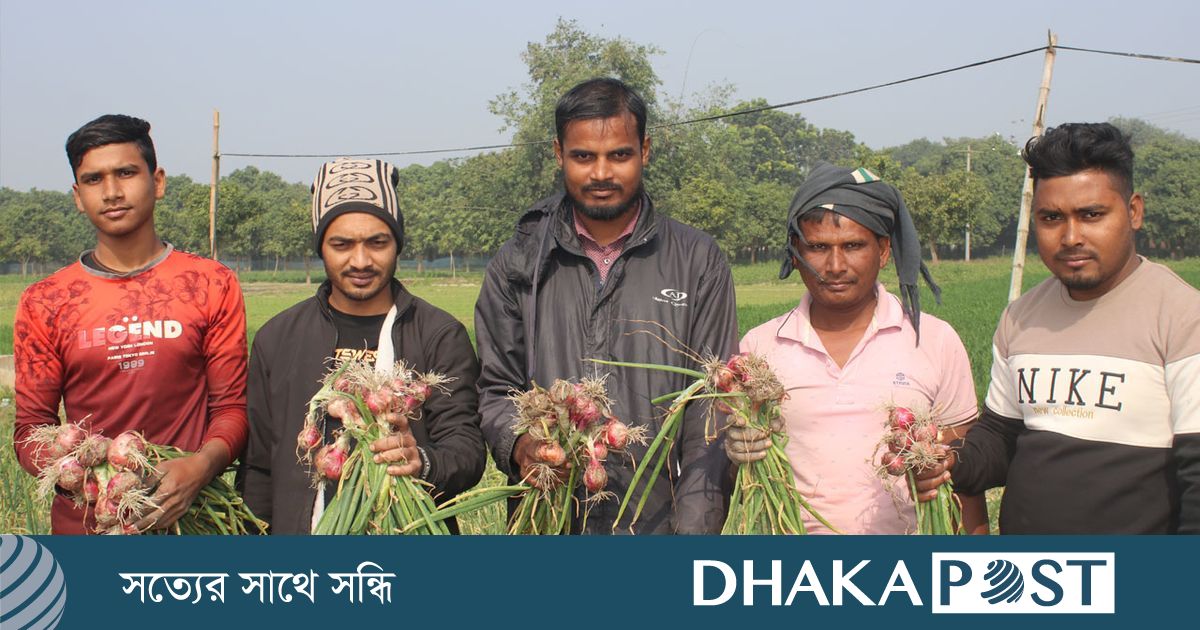 মুড়িকাটা পেঁয়াজে আশানুরূপ দাম না পাওয়ায় লোকসানে কৃষকরা