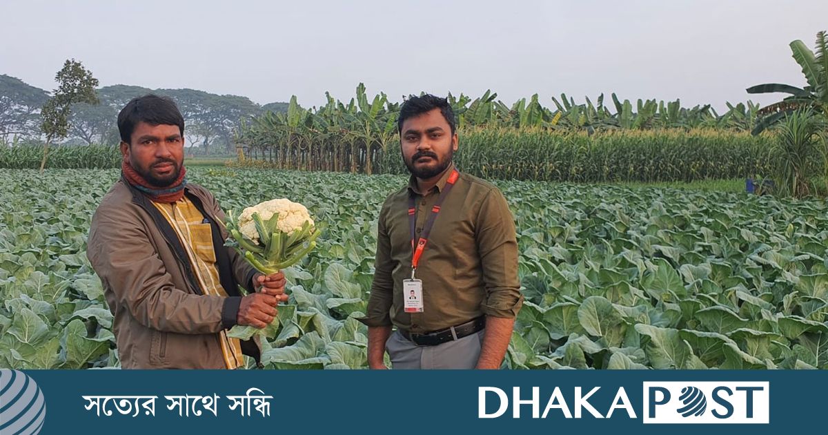 হতাশ হয়ে পড়া মেহেরপুরের কৃষকের পাশে ‘স্বপ্ন’