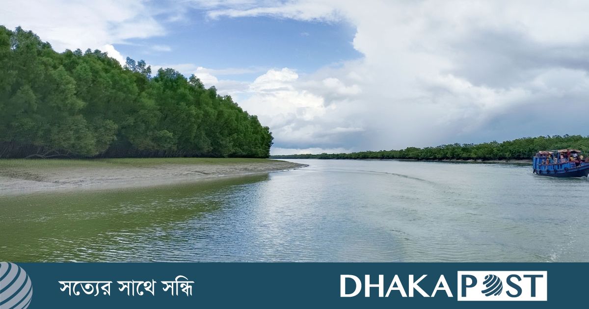 সুন্দরবনে কাঁকড়া আহরণে নিষেধাজ্ঞা : প্রণোদনা চান আহরণকারীরা