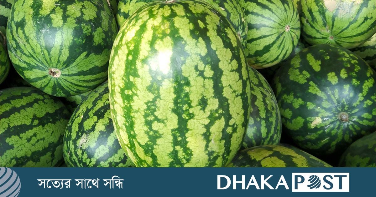 রমজানে বাজারে নতুন তরমুজ, কেজি ৭০ টাকা