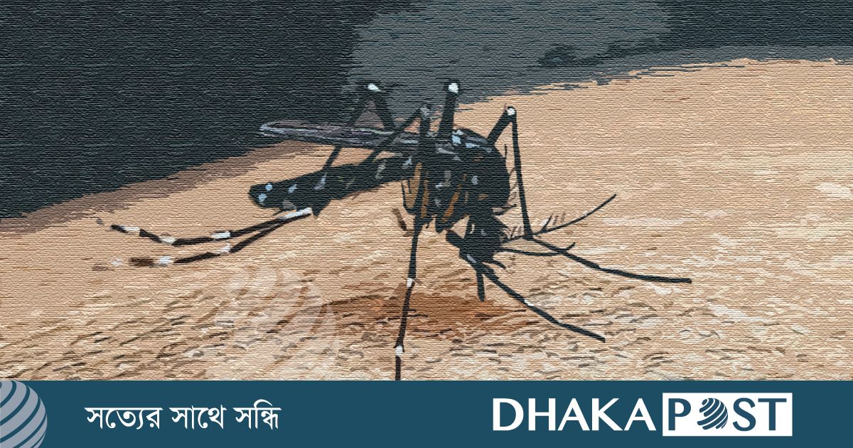 ডেঙ্গু আক্রান্ত হয়ে হাসপাতালে ভর্তি ৮৩৪ জন