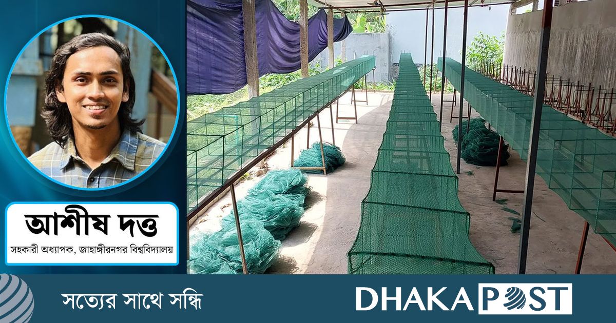 চায়না দুয়ারী জালের দৌরাত্ম্যে বিপন্ন জলজ প্রাণ ও মানুষের জীবন জীবিকা