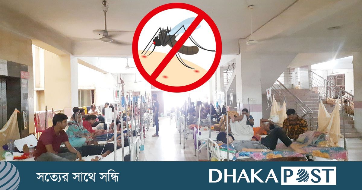 একদিনে আরও ৬১৯ জনের ডেঙ্গু শনাক্ত, মৃত্যু ১
