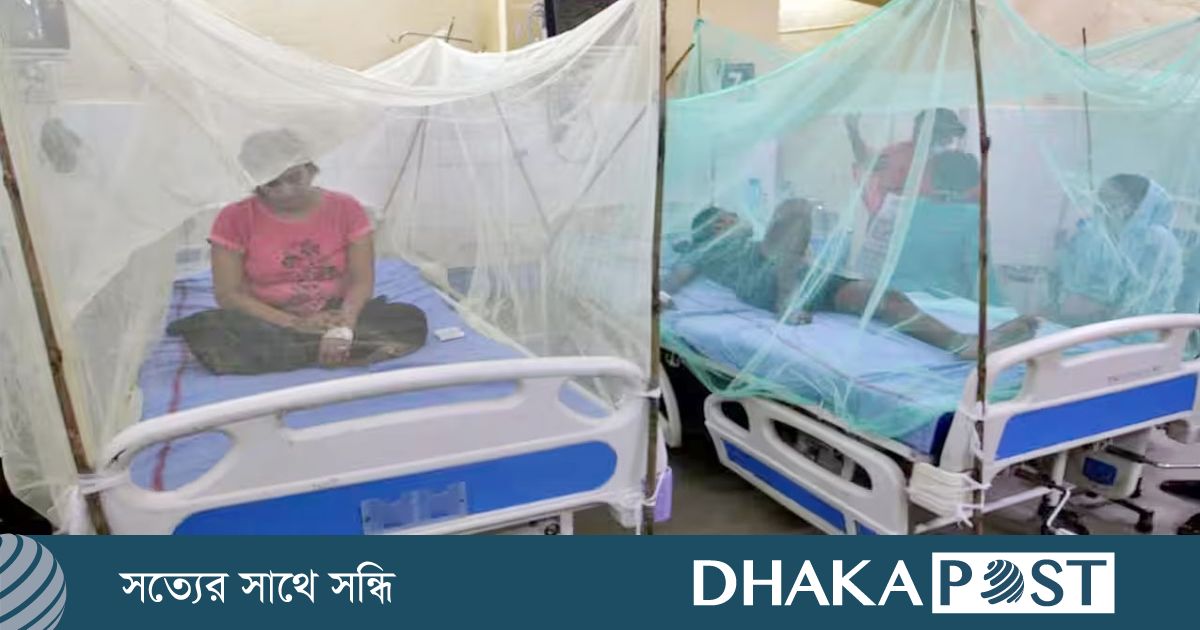 ৬ বছরের রেকর্ডভাঙা ম্যালেরিয়া-ডেঙ্গু-চিকুনগুনিয়ায় কাঁপছে দিল্লি