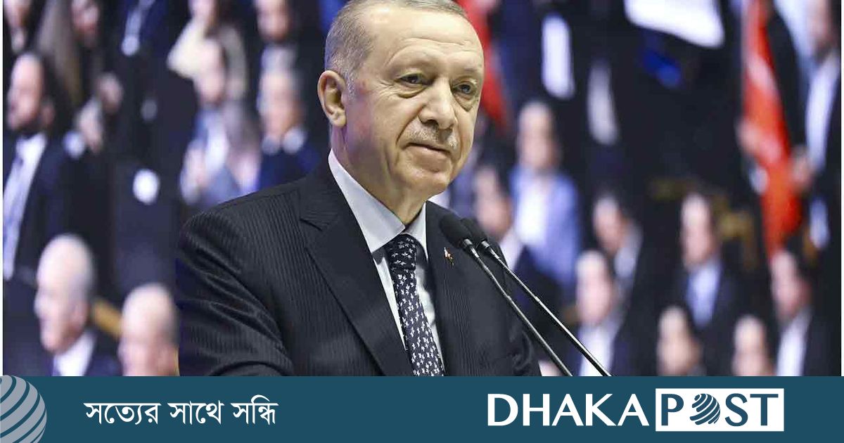 ইসরায়েল জলদস্যুতা করেছে : এরদোয়ান