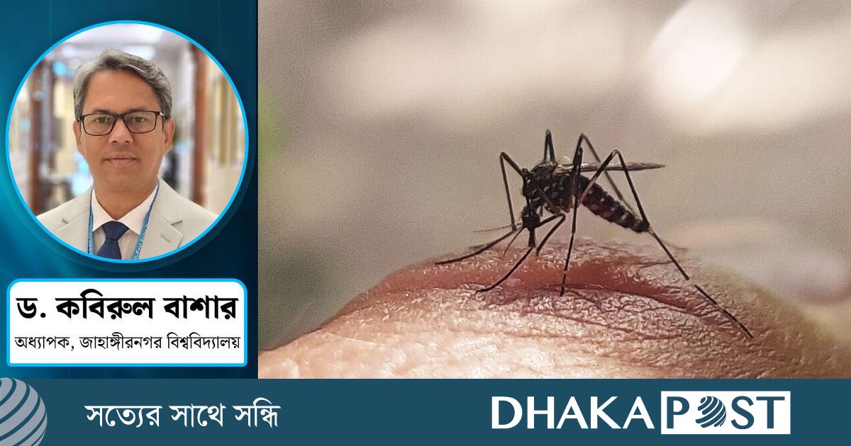 এডিস মশার ঘনত্ব বাড়ছে, আসন্ন বিপদ ঠেকাবে কে?