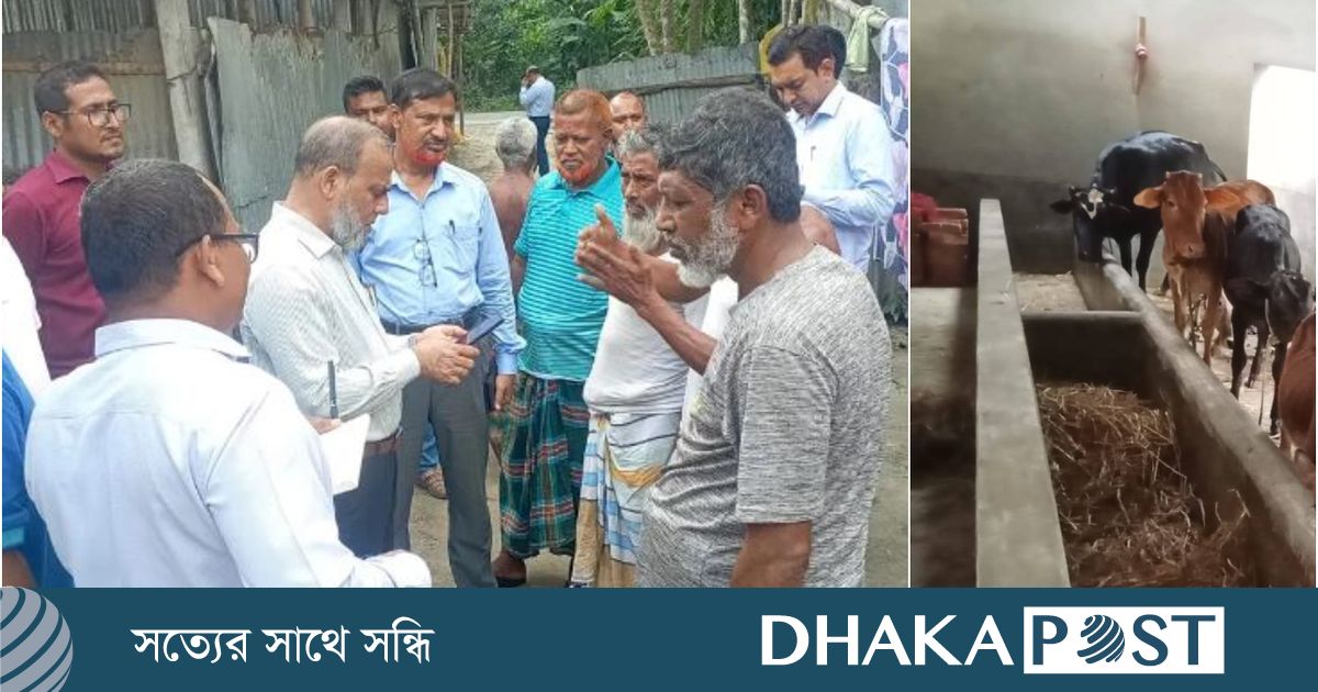 বাড়ছে অ্যানথ্রাক্স আতঙ্ক, রংপুর-গাইবান্ধায় অনুসন্ধান দল