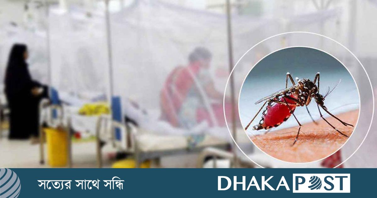 ২৪ ঘণ্টায় ডেঙ্গুতে ২ মৃত্যু, হাসপাতালে ৩৬৪