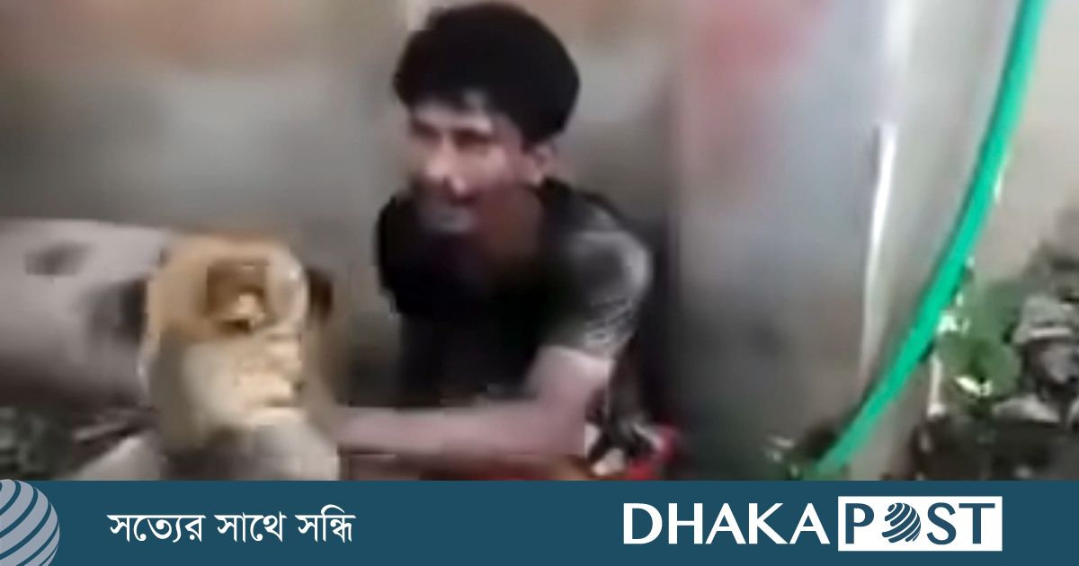 চুরির অভিযোগে কুকুর লেলিয়ে যুবককে নির্যাতন