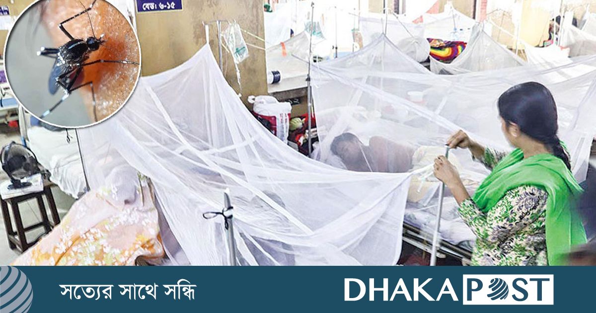 একদিনে ডেঙ্গুতে ৬ জনের মৃত্যু