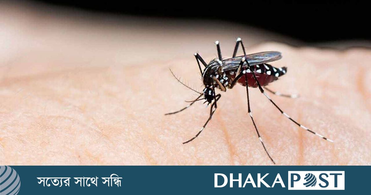 ডেঙ্গুতে আরও ৩ জনের মৃত্যু