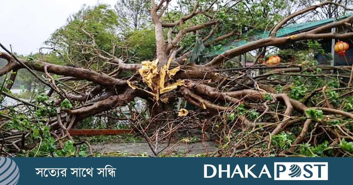 টাইফুন বুয়ালোই : ভিয়েতনামে নিহত ১৯, নিখোঁজ ২১