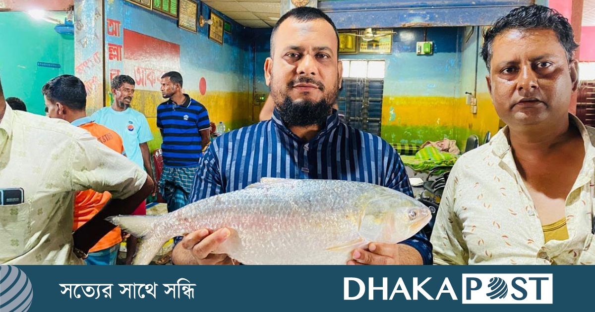 ৮০টি ইলিশ বিক্রি হলো দুই লাখ ১৩ হাজার টাকায়