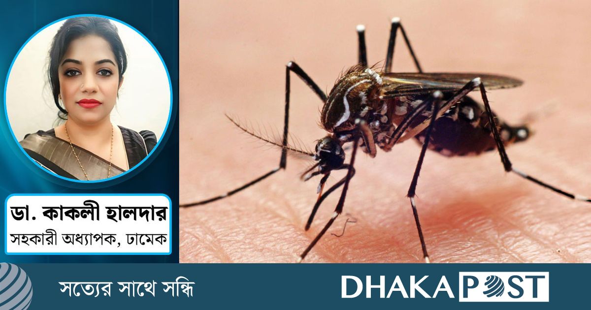 ডেঙ্গু : পরিচিত এক শত্রুর বিরুদ্ধে অসম যুদ্ধ