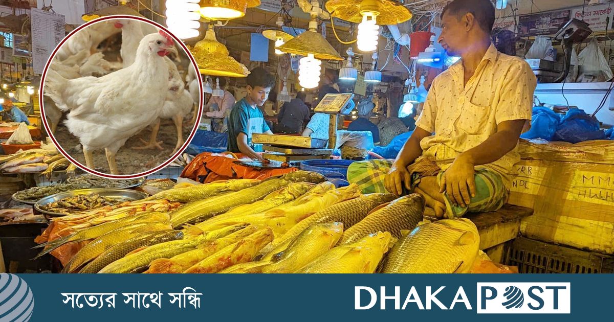 গরিবের পাঙাশ-তেলাপিয়া-ব্রয়লারে আগুন, শুক্রবার এলেই বাড়ে দাম