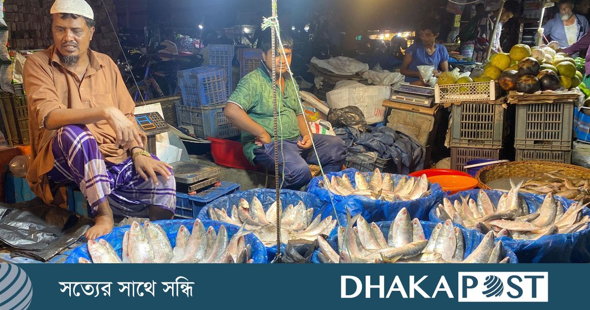 মাছের দাম চড়া, ভরা মৌসুমেও ইলিশ অধরা