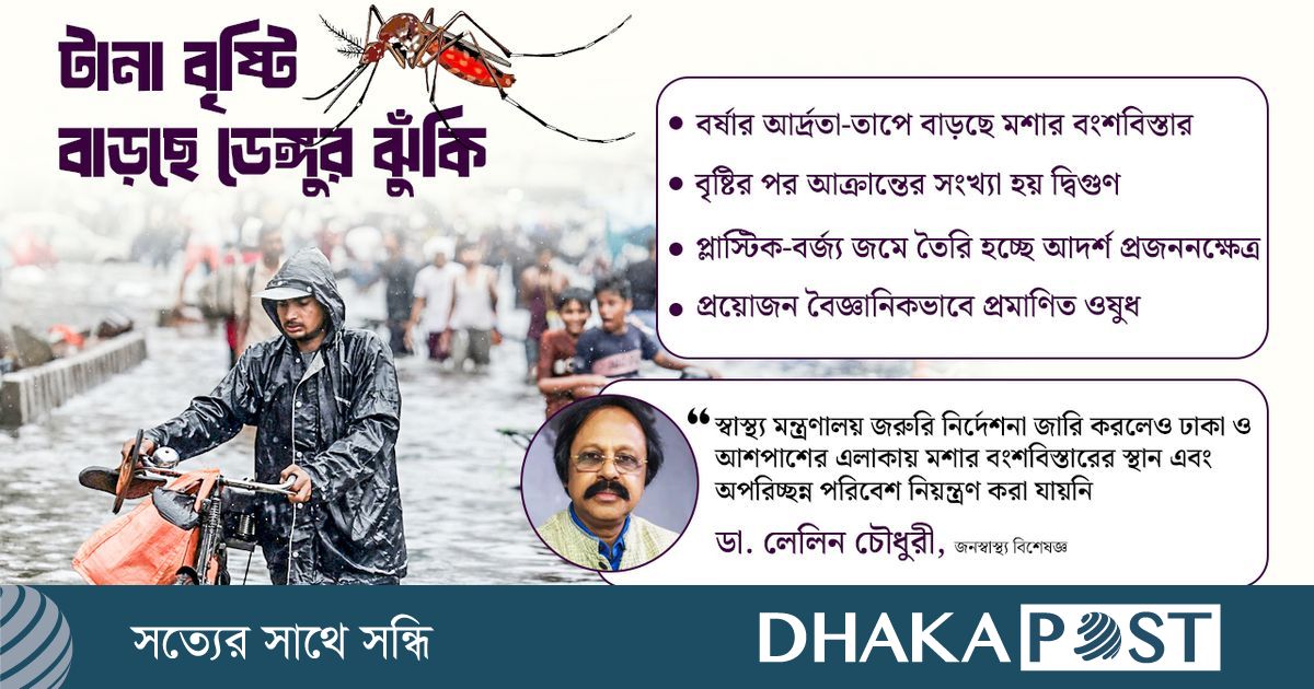 বৃষ্টিতে বাড়ছে ডেঙ্গুর ঝুঁকি, সমাধান কোথায়?