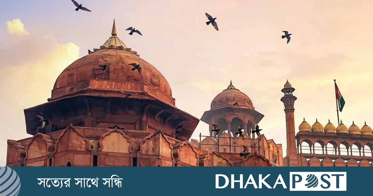 দিল্লির বিষাক্ত বাতাসে কালো হয়ে যাচ্ছে ঐতিহাসিক লালকেল্লা