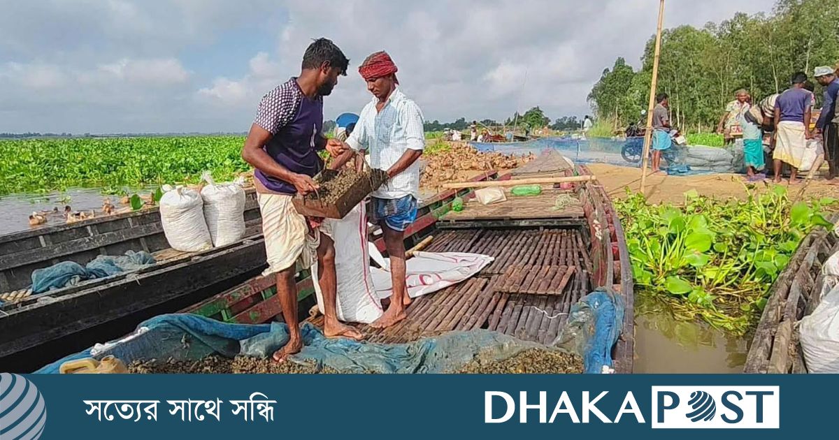 চলনবিলে অবাধে চলছে শামুক ক্রয়-বিক্রয়, হুমকির মুখে জীববৈচিত্র্য