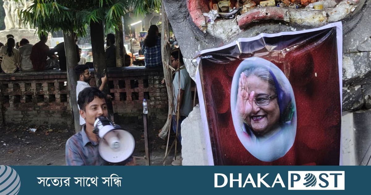 টিএসসিতে শেখ হাসিনার ছবিতে ডিম নিক্ষেপ
